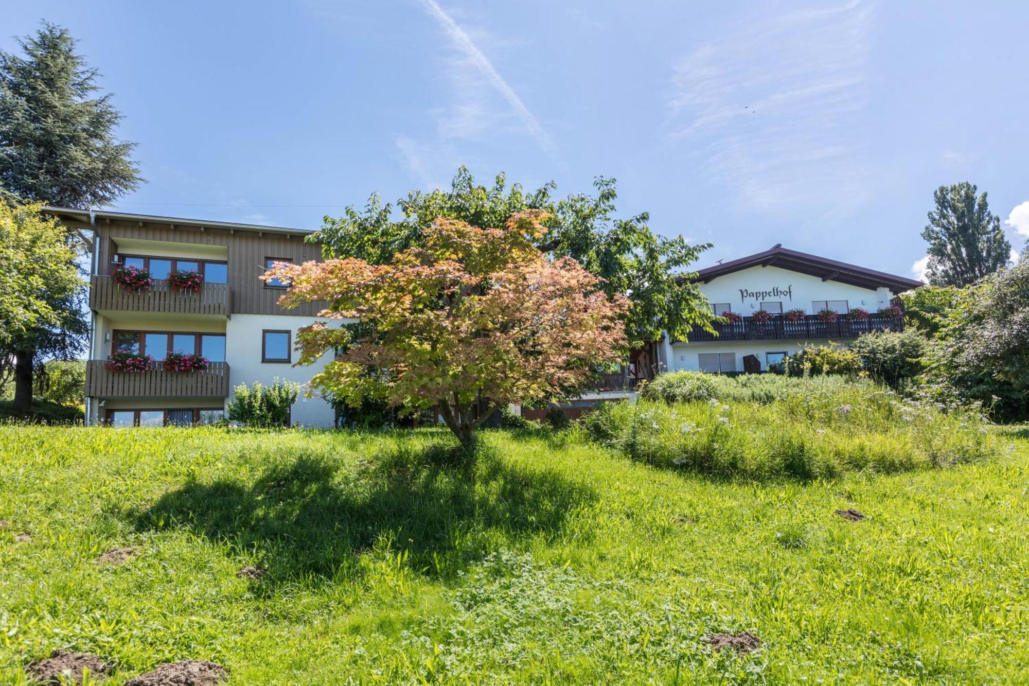 Pappelhof Apartment Бад Белинген Екстериор снимка